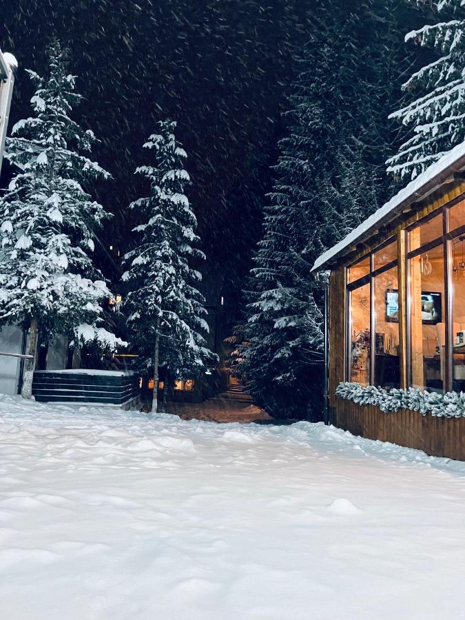 Cabana Din Poienita Пояна Брашов Екстериор снимка